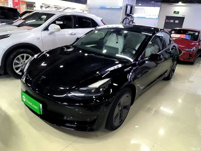 2022 Tesla Model 3 Model Rear-Wheel Drive Version, фото 1, лот 10370554
