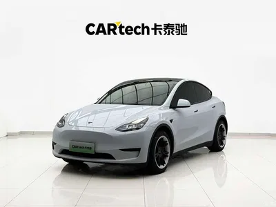2022 Tesla Model Y Rear-Wheel Drive Version, фото 1, лот 10449731