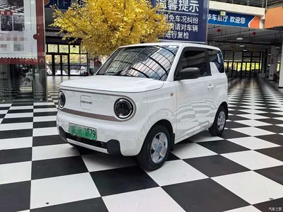 2023 Geely Galaxy Panda Mini 200km Endurance Bear, фото 1, лот 10406209
