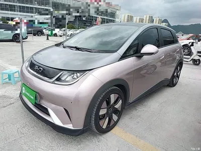 2021 BYD Dolphin 401km Knight Edition, фото 2, лот 10264238
