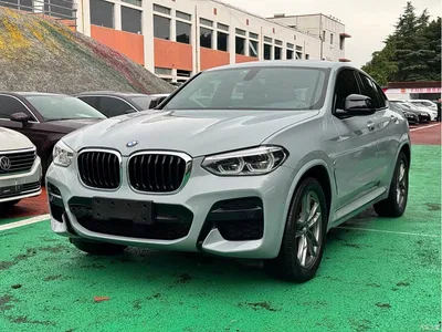 2020 BMW X4 xDrive25i M Sport Package, фото 1, лот 11242860