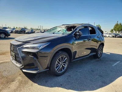 2025 LEXUS NX 250 PREMIUM, фото 1, лот 10846283