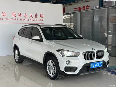 2019 BMW X1 sDrive18Li Fashion Model, фото 3, лот 10464933