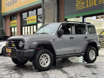 2021 Tank 300 Off-road Version 2.0T Conqueror, фото 4, лот 11475294