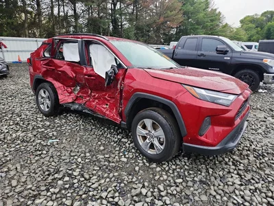 2024 TOYOTA RAV4 LE, фото 4, лот 11124221
