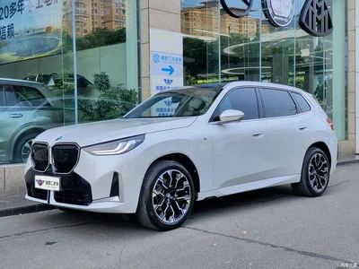 2025 BMW X3 xDrive30L Leading Model M Sport Black Package, фото 1, лот 10460987