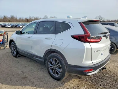 2020 HONDA CR-V EXL, фото 2, лот 10725202