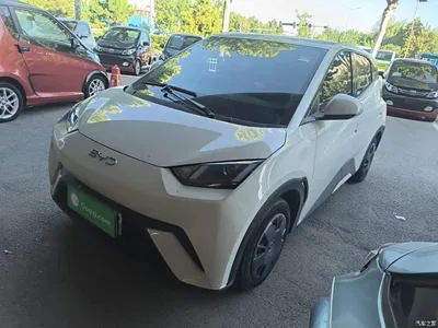 2024 BYD Seagull Glory Edition 305km Vitality Edition, фото 1, лот 10260024