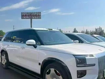 2025 ZEEKR 9X Model Standard, фото 1, лот 10402012