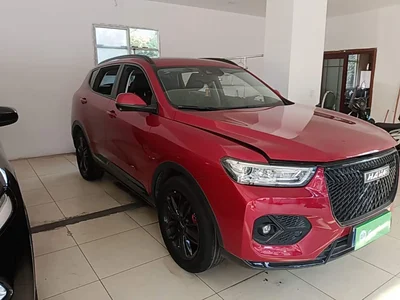 2021 Haval H6 2.0GDIT Automatic GT Luxury Edition, фото 4, лот 11579984