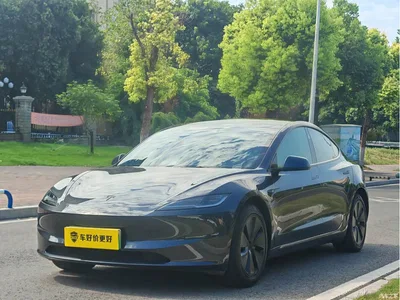 2025 Tesla Model 3 Model Rear-Wheel Drive Edition, фото 1, лот 10451970