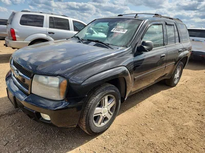 2007 CHEVROLET TRAILBLAZER LS, фото 1, лот 10682192