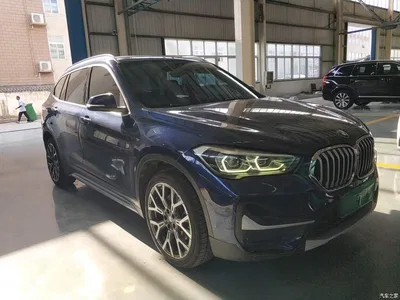 2020 BMW X1 xDrive25Li Premium Edition, фото 4, лот 10467491