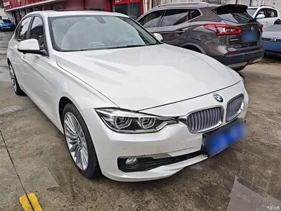 2018 BMW 3 Series 320Li Fashion Style, фото 4, лот 10457731