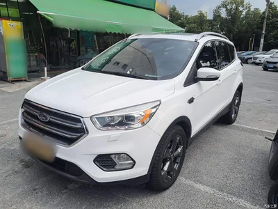 2019 Ford Kuga EcoBoost 180 2WD Luxury Wing Edition China VI, фото 2, лот 10298088