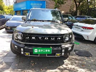 2023 Jetour Traveler Model 2.0T 4WD Cross PRO, фото 3, лот 10472685