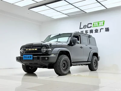 2021 Tank 300 Off-road Version 2.0T Conqueror, фото 1, лот 10345169