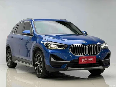 2020 BMW X1 sDrive20Li Premium Edition, фото 3, лот 10412394