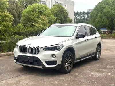 2019 BMW X1 sDrive20Li Leading Model, фото 1, лот 10465812