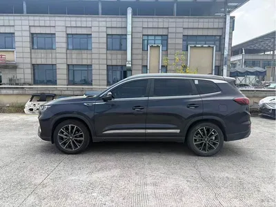 2021 Chery Tiggo 8 PLUS 290TGDI DCT Premium Edition 6-Seater, фото 2, лот 10842088