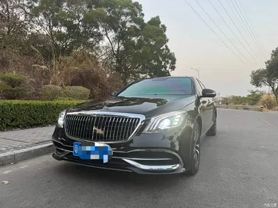 2008 Mercedes-Benz S-Class S 300 L Business, фото 1, лот 10401336