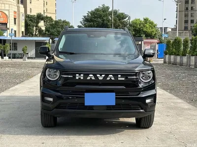 2026 Haval Da Gou 2nd Gen Model 2.0T Base, фото 2, лот 10808276
