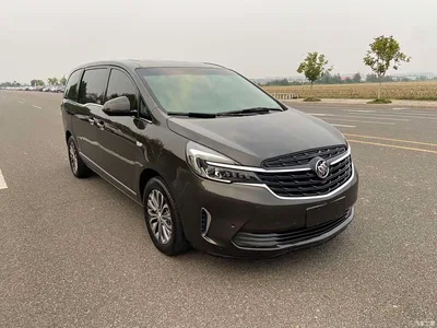 2021 Buick GL8 Land Business Class 652T Premium, фото 3, лот 11199960
