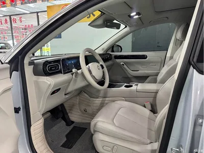 2023 Leapmotor C11 Extended Range 285 Comfort Edition, фото 4, лот 10317483