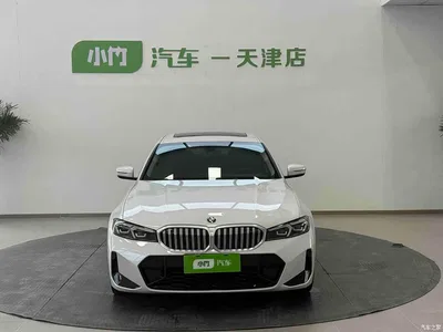 2023 BMW 3 Series 320Li M Sport Package, фото 2, лот 10612132