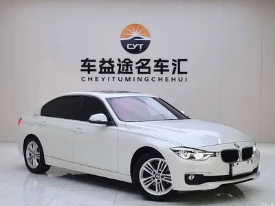 2016 BMW 3 Series 320Li Progressive, фото 3, лот 11530524