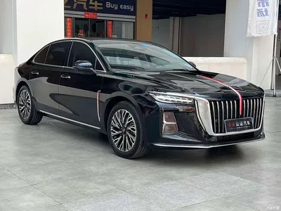 2024 Hongqi H5 2.0T Automatic Smart Connect Flag Smooth Edition, фото 3, лот 11018104