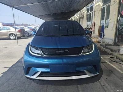 2021 BYD Dolphin Model 405km Fashion Edition, фото 3, лот 10258736