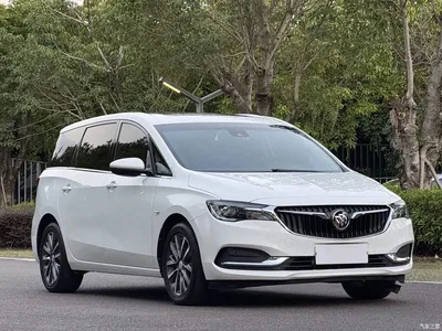2019 Buick GL6 Model 18T 6-Seater Connected Premium Version China V, фото 3, лот 11569525