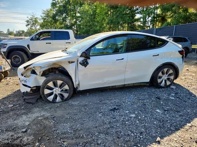 2023 TESLA MODEL Y, фото 1, лот 11311730
