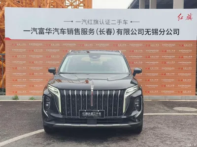 2024 Hongqi HS7 PHEV 2.0T PHEV 4WD Flagship Edition 6-seater, фото 2, лот 10288491