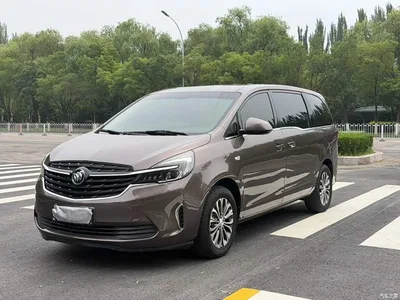 2021 Buick GL8 Land Business Class 652T Comfort, фото 1, лот 10262208