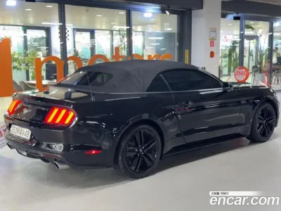 2017 Ford Mustang Convertible, фото 4, лот 10125136