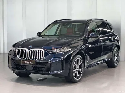 2023 BMW X5 xDrive 30Li Premium M Sport Black Night Package, фото 1, лот 10462558