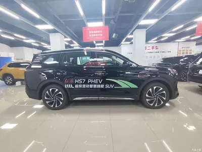 2024 Hongqi HS7 PHEV 2.0T PHEV 4WD Flagship Edition 6-seater, фото 4, лот 10287860