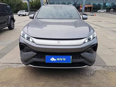 2025 BYD Song Pro New Energy 2nd Generation Smart Drive Edition DM-i 75KM Leading Type, фото 3, лот 10272856