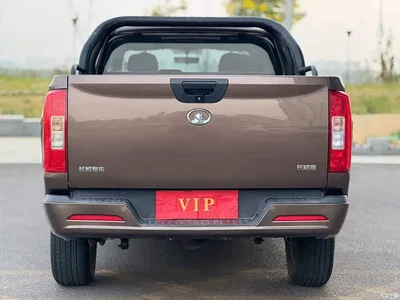 2019 Great Wall Pao 2.0T Commercial Version Automatic Gasoline 2WD Elite Long Box GW4C20B, фото 4, лот 10836988