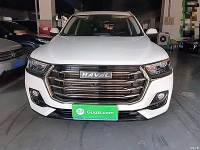 2021 Haval H6 Model National Trend Edition 1.5T Auto Champion, фото 3, лот 10284205