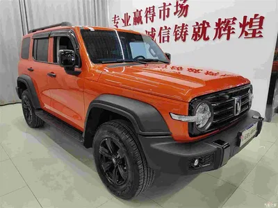 2021 Tank 300 Off-road Version 2.0T Conqueror, фото 3, лот 10345198
