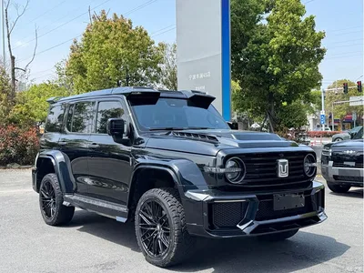 2023 Tank 300 Off-Road Edition 2.0T Challenger, фото 3, лот 10355678