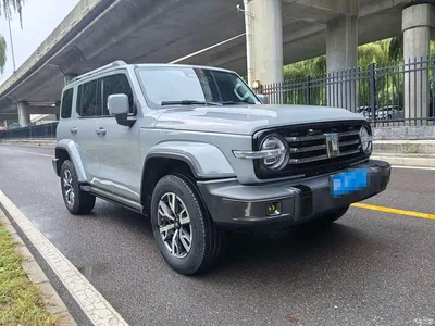 2023 Tank 300 Urban Edition 2.0T Very Stylish, фото 3, лот 11136648