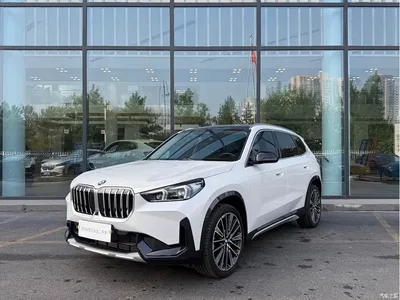 2023 BMW X1 xDrive25Li X Design Package, фото 1, лот 11095584