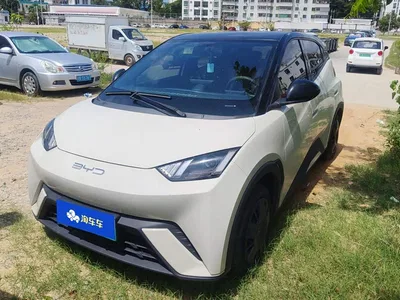 2023 BYD Seagull Vitality Edition, фото 1, лот 10395073