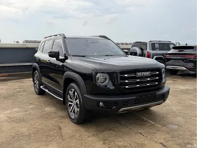 2022 Haval Big Dog 1.5T DCT FWD Border Collie Edition, фото 3, лот 10404645