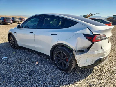 2021 TESLA MODEL Y, фото 2, лот 11177077