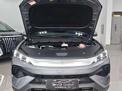 2025 BYD Song Pro New Energy 2nd Generation Smart Drive Edition DM-i 115KM Surpassing Type, фото 2, лот 11539731